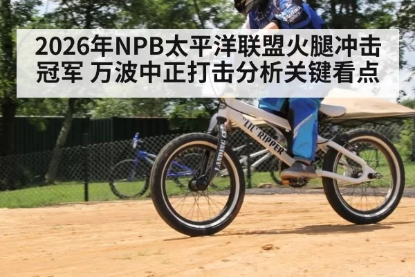 2026年NPB太平洋联盟火腿冲击冠军 万波中正打击分析关键看点
